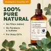 KUKKA Eucalyptus Essential Oil - 100% Pure & Natural Eucalyptus Oil for Diffuser, Humidifier, Skin, Hair (4 Fl Oz/118 ml) - 2 of 4