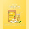 Dried Pineapple Snack – Healthy, Vegan, Non-GMO, No Sugar Added – Gluten-Free, Kosher – 8 oz Bag with No Preservatives - 2 of 4