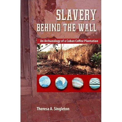 Slavery behind the Wall - (Cultural Heritage Studies) by  Theresa a Singleton (Paperback)