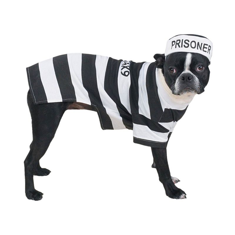 Casual Canine Prison Pooch Costume, 1 of 5