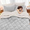 BAGOKIE 5/7 Pieces Reversible Bed in a Bag Comforter Set for All Season - 4 of 4
