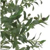Artificial Olive Tree , Tall Fake Potted Olive Silk Tree with Planter for Office Home Living Room Floor Patio Greening Porch Decor - 4 of 4