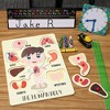 Blue Panda 2 Pack Educational Wooden Peg Puzzle for Toddler & Kids, My Human Body Parts, 12 x 9 in - 3 of 4