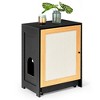 Cat Litter Box Enclosure, Furniture Style Hidden Cat Washroom with Sisal Door, Living Room End Table, Multifunctional Litter Storage Cabinet, Black - 2 of 4