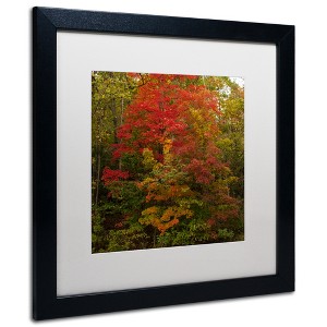 Trademark Fine Art -Kurt Shaffer 'Why I Love Autumn 2' Matted Framed Art - 1 of 4
