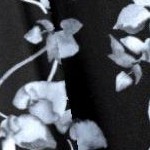 grey flower vine