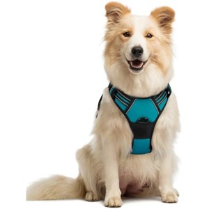 rabbitgoo Dog Harness No Pull with 2 Leash Clips, Control Handle for Medium Sized Dogs, Teal, M - 1 of 1