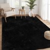 Plush Fuzzy Rugs Ultra Soft Fluffy Furry Rugs Non Slip Non Shedding Area Rug Indoor Carpet Nursery Rugs for Kids Room Bedroom Home Decor - 2 of 4