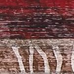 red/brown