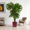 Wooakway 15" Dia Outdoor Indoor Ceramic Planter Pot Decorative Planter with Drainage Hole Patio Flower Pot - 4 of 4