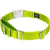 Country Brook Petz Heavyduty Nylon Martingale with Premium Buckle - 3 of 4