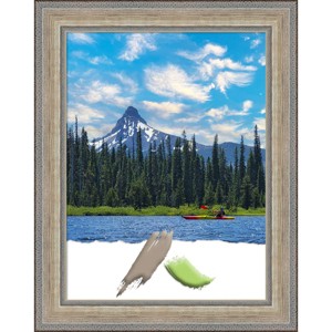 18"x24" Opening Size Wood Picture Frame Art Fleur Silver - Amanti Art: Modern Rectangular Wall Decor with Acrylic Glazing - 1 of 4
