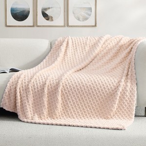 Swift Home | 50" x 70" Jacquard Patterned Plush Throw Blanket - 1 of 4