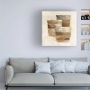 Trademark Fine Art 18" x 18" Albena Hristova 'Desert Still Life II' Unframed Wall Canvas: Modern Artwork for Home Decor - 3 of 4
