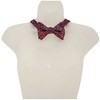 Men's Paisley Printed 2.75" x 4.75" Adjustable 16" - 21" Self-Tie Bow Tie - 2 of 4