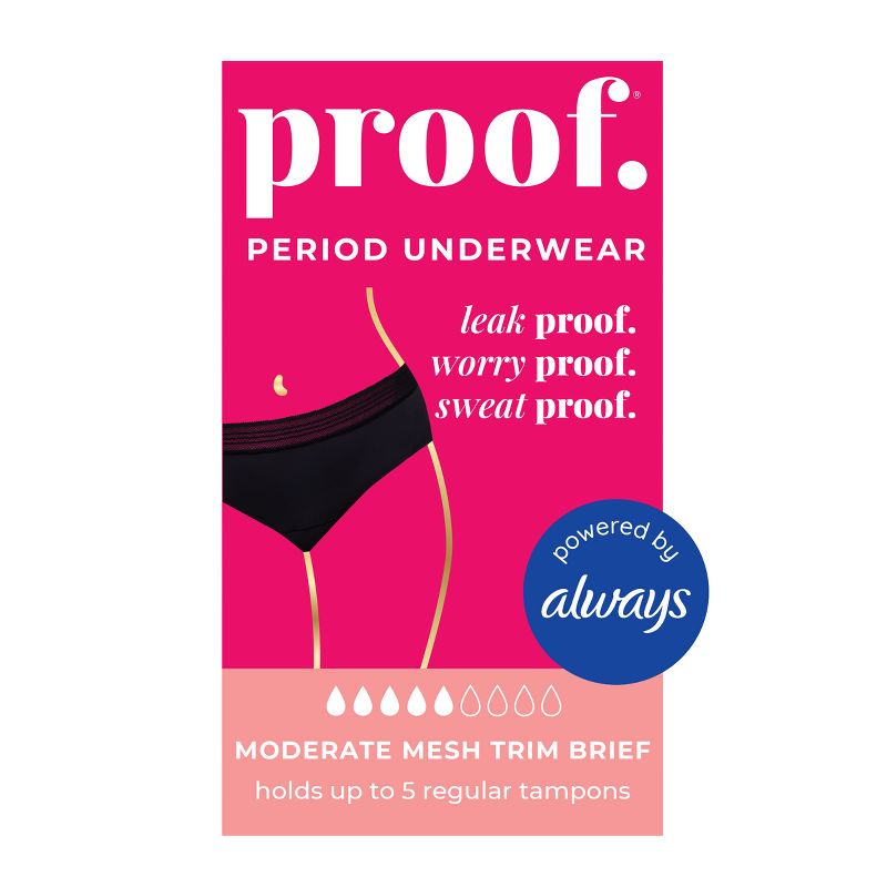 Proof Underwear Women's Moderate Mesh Trim Briefs - Black, 3 of 11