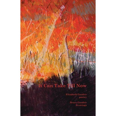 It Can Take Till Now - by  Elizabeth Goodsir (Paperback)