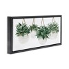 Stupell Industries Hanging Planters House Plants, 25" x 11" - 3 of 4