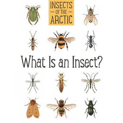 Insects of the Arctic: What Is an Insect? - (Nunavummi) by  Carolyn Mallory (Paperback)