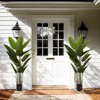 Dovelina Artificial Tree Indoor Tree Plants Faux Tree with for Home Decor - 2 of 4