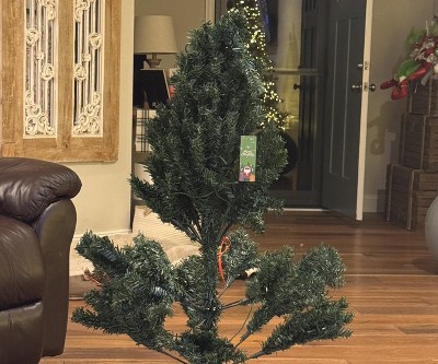 Guest review image 1 of 1, zoom in