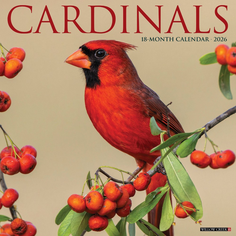 Willow Creek Press 2026 Cardinals Wall Calendar