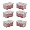 Racxily 6 PCS Small Canister Food Storage Containers - 3 of 4