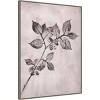 32" x 42" Elm I Brown by Pernille Folcarelli Framed Canvas Wall Art Print - Amanti Art: Modern Style, Polystyrene Frame, Botanical Theme - 2 of 4