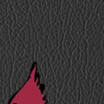 chicago cardinals
