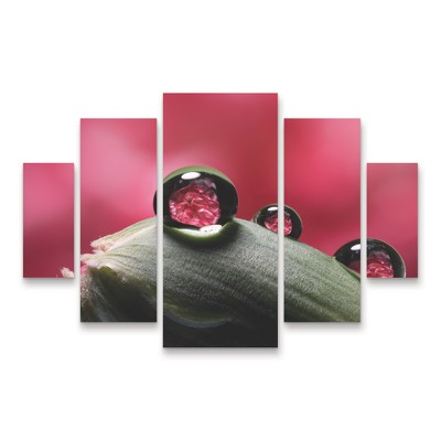 Trademark Fine Art Gordon Semmens Dew Drops Macro 06 3 Piece Panel Set Art