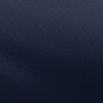midnight blue