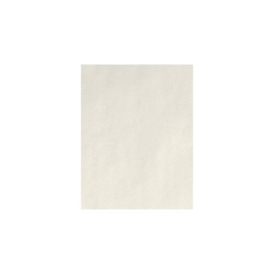 LUX 80 lb. Cardstock Paper 8.5" x 11" Natural 50 Sheets (81211-C-99-50)