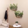 On2Pets Rectangle Cat Canopy Shelves - Green - 2ct - 2 of 3
