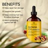 Botanic Hearth 100% Pure & Unrefined Batana Oil for Hair Growth - 4 fl oz - 3 of 4