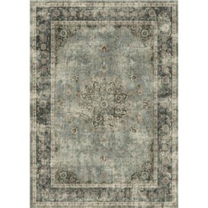 Area Rugs Living Room Machine Washable Soft Carpet for Bedroom Vintage Distressed Area Rug - 1 of 1