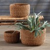 Plum & Post Seagrass Cylindrical Baskets, Set Of 3 - 2 of 4