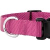 Country Brook Petz Deluxe Nylon Dog Collar and Leash - 4 of 4