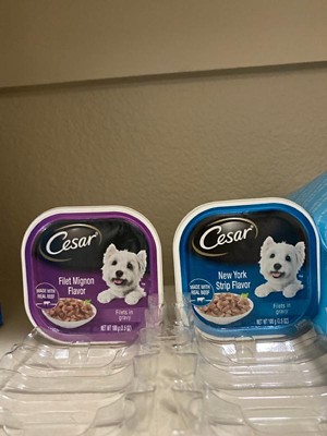  CESAR Filets in Gravy Adult Wet Dog Food, Filet Mignon Flavor,  3.5 oz. Easy Peel Trays, Pack of 24 : Canned Wet Pet Food : Pet Supplies