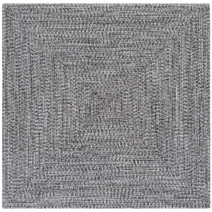 Braided BRA260  Machine Washable UV Resistant Stain Resistant Non-Shedding Hand Woven Indoor/Outdoor Rugs - Safavieh - 1 of 4