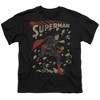 Boys' Short Sleeve Superman Logo Japan 1 T-Shirt - 2 of 4