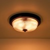 Rennnsan Elestyn 14"W 2-Light Bowl Textured Glass Modern Dimmable Flush Mount in Black - 4 of 4