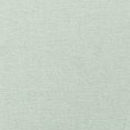 robins egg blue