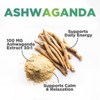 Ashwagandha Gummies with Natural Extra Strength 30:1 Ashwagandha Root Extract - 60 Gummies - 2 of 4