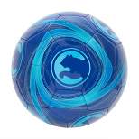 ProCat by Puma Cyclone Sports Ball - Blue