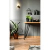 Z-Lite Datus 1 - Light Wall Light in  Rubbed Brass - 4 of 4