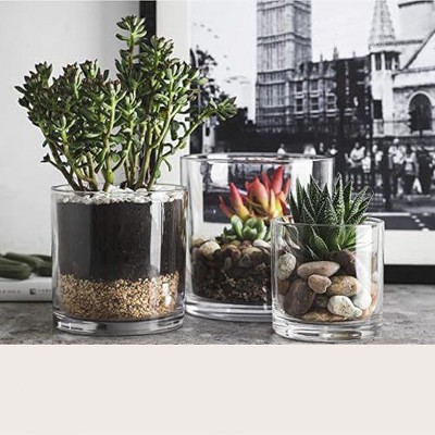 Elegant Clear Glass Cylinder Vase for Chic Floral Arrangements