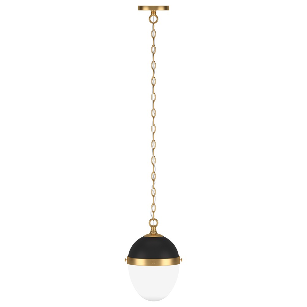 Hudson and Canal 9" Wide Pendant: Adjustable Chain, UL Listed, Metal & Glass Globe Ceiling Light