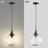 KAISITE 1 - Light Black Single Pendant Light With Globe Clear Glass - 4 of 4