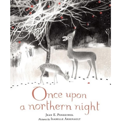 Once Upon a Northern Night - by  Jean E Pendziwol (Hardcover) - image 1 of 1