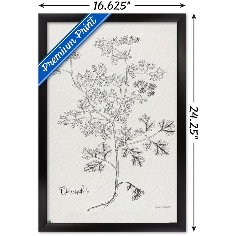 Trends International Jean Plout - Botanical Studies on Paper Coriander Framed Wall Poster Prints, 3 of 7